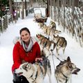Công viên Husky