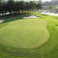 sân golf đẹp nhất Việt Nam