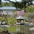 Công viên Narita - Naritasan Park | Yeudulich