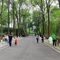 vườn-gấu-truc-3-ivivu