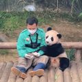 gau-truc-fubao-ivivu-5