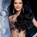 Ảnh trong bài