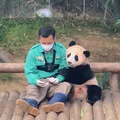 gau-truc-fubao-ivivu-5