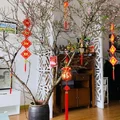 Đón xuân về, dân sành chơi hoa Tết đều biết đến 5 loại đào này