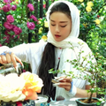 "Khổng tước làng múa" Dương Lệ Bình chi hơn 3 tỷ làm móng mỗi năm