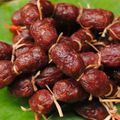 am-thuc-an-giang-ivivu-16.jpg