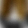 Ảnh trong bài