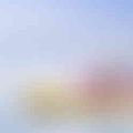 Ảnh trong bài