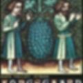Ảnh trong bài