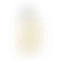 Ảnh trong bài
