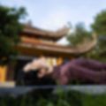Ảnh trong bài