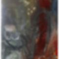 Ảnh trong bài