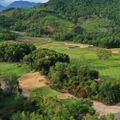 Ảnh trong bài