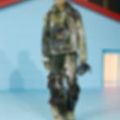 Ảnh trong bài