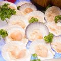Ảnh trong bài
