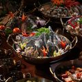 Ảnh trong bài