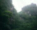 Ảnh trong bài