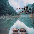 Ảnh trong bài