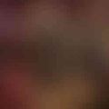 Ảnh trong bài