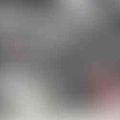 Ảnh trong bài