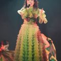 Ảnh trong bài