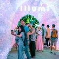 Ảnh trong bài