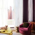 rem cua curtain trang tri noi that phong khach