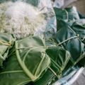 Mùa thu Hà Nội
