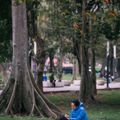Chẳng ngờ sau một đêm ngủ say mà Hà Nội đã khoác màu áo mới