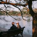 Chẳng ngờ sau một đêm ngủ say mà Hà Nội đã khoác màu áo mới