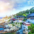 Du lịch Hàn Quốc mùa nào đẹp? Khám phá xứ sở kim chi