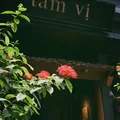 Nhà hàng Michelin tại Việt Nam