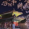 Cách tham quan 5 cung điện nổi tiếng ở Seoul miễn phí