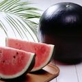 Món ăn đắt nhất thế giới