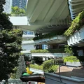 Lễ hội Thái Lan
