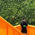 Lễ hội Thái Lan