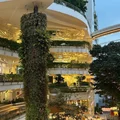 Lễ hội Thái Lan