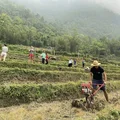 Du lịch Sapa 