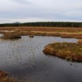 Du lịch Châu Âu