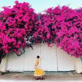 Du lịch Vũng Tàu