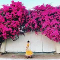 Du lịch Vũng Tàu