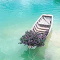 Du lịch Vũng Tàu