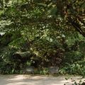 6 khu nghỉ dưỡng có bể bơi gần Hà Nội, đảm bảo trải nghiệm "chill" chưa từng có!
