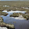 Ngắm Di sản Thế giới mới năm 2024 của UNESCO