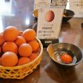 du lịch Nhật Bản
