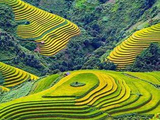 Núi rừng Tây Bắc - Nơi mây trôi trên những bậc thang của núi