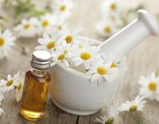 Bí quyết làm đẹp da từ những cánh hoa cúc mỏng manh