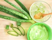 Những tác dụng bất ngờ của lô hội