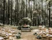 Đám cưới cổ tích trong rừng của mọi cô gái