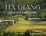 Hà Giang mùa lúa chín vàng khắp vùng trời phía Bắc nước ta
